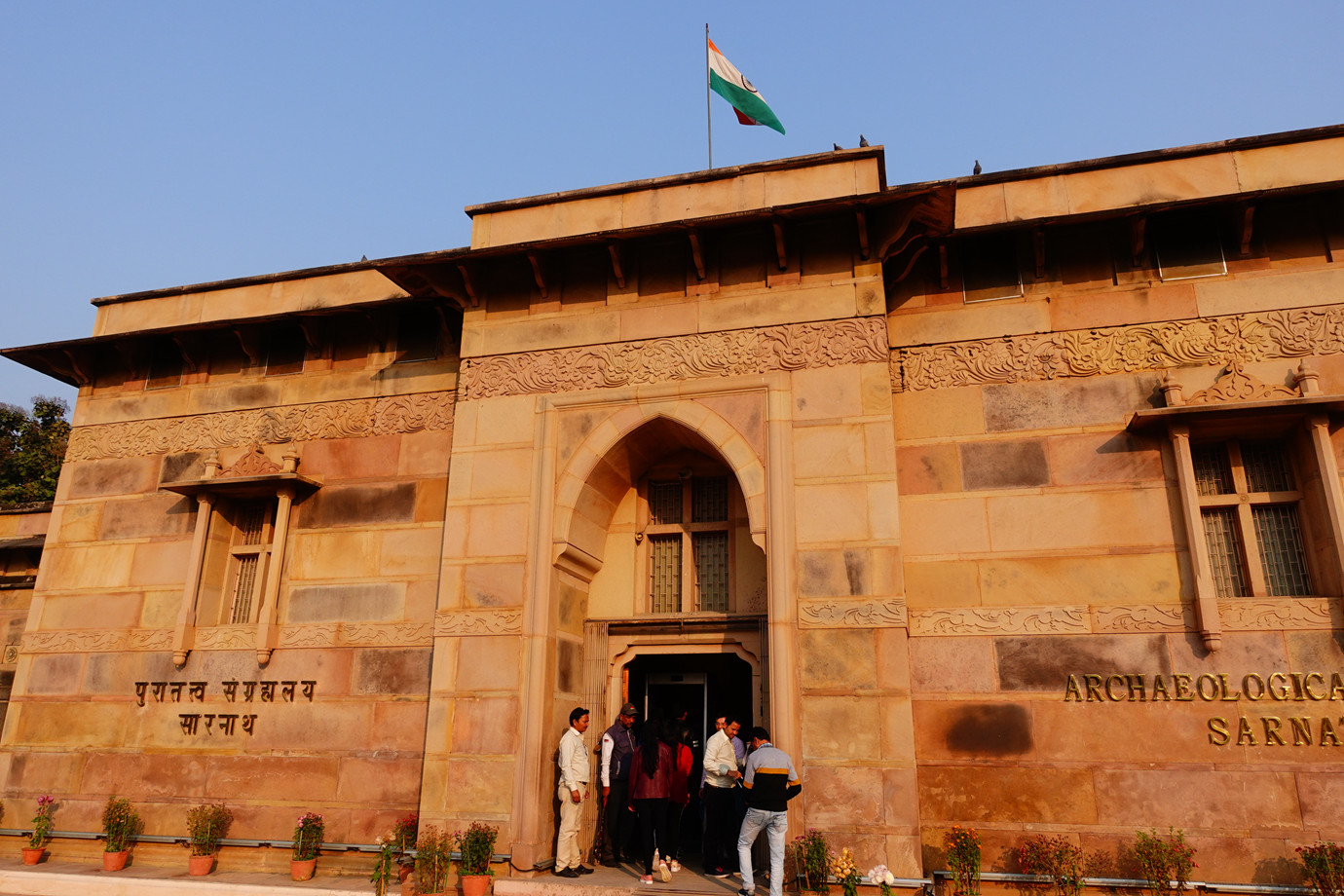 瓦拉納西-鹿野苑博物館 Sarnath Museum